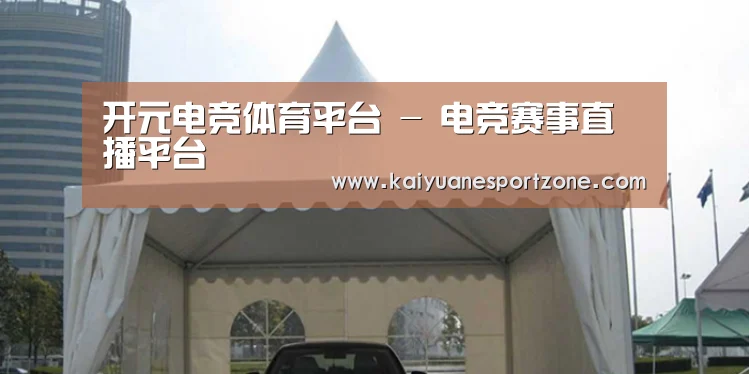 案例标题八