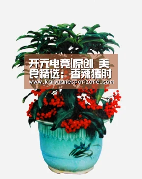 开元电竞|原创 美食精选:香辣猪肘,蘑菇杂炒,三色蔬菜发糕,山药小炒肉的做法(图2) 开元棋牌