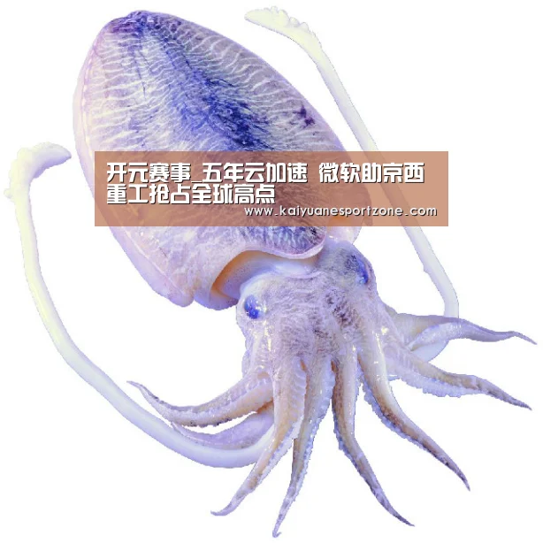 开元赛事