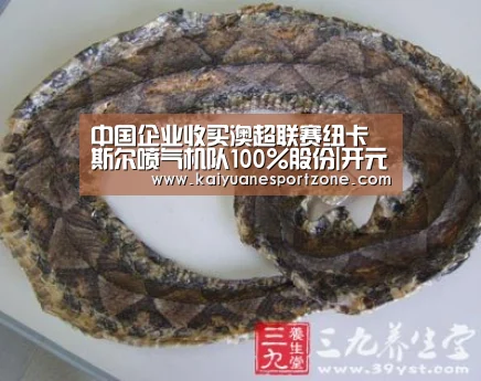 中国企业收买澳超联赛纽卡斯尔喷气机队100%股份|开元赛事(图1) 开元电竞