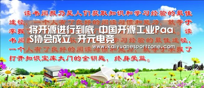 将开源进行到底 中国开源工业PaaS协会成立-开元电竞(图2) 开元电竞